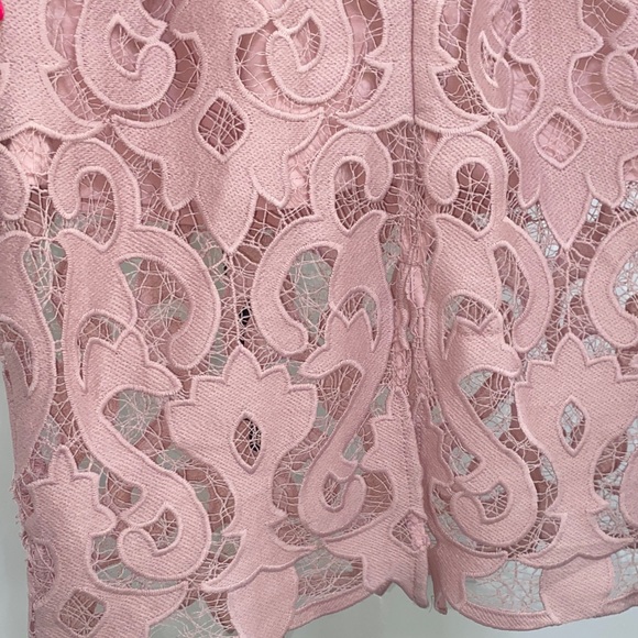 Bardot Strap Pink Lace Dress - Picture 9 of 16